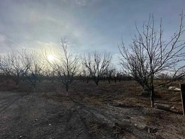 Rancho Nogalero en Venta – La Luz, Coahuila de Zaragoza