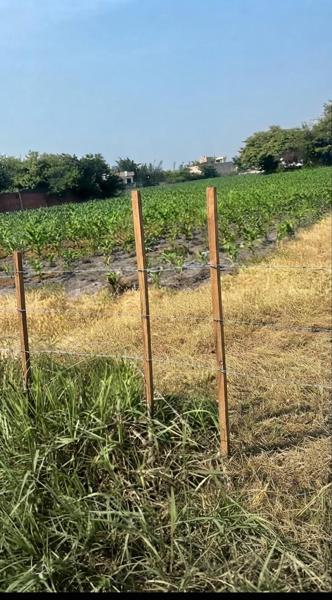 Terreno en venta en Acapatzingo, Cuernavaca, Morelos