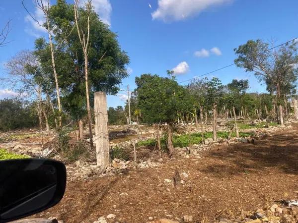 Venta de Terreno ubicado en Komchén