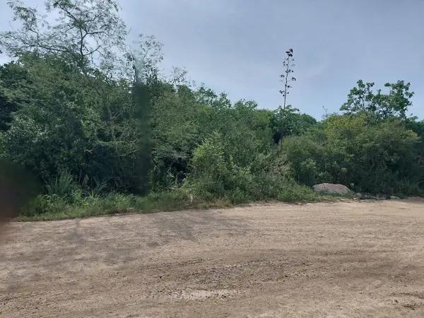 Terreno en Venta | Entrada Flamboyanes  cerca Carr.Mérida-Progreso