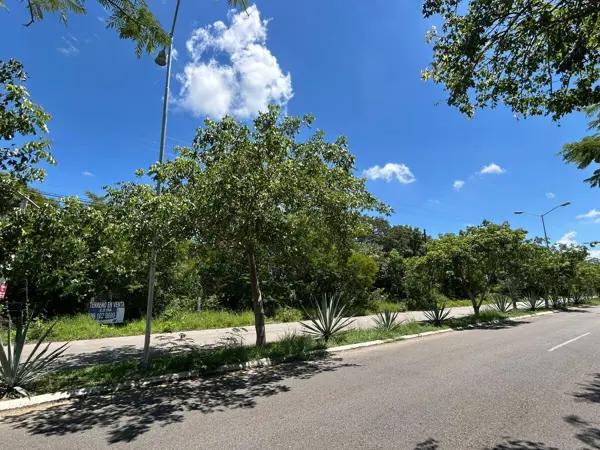 Terreno en venta   de 2.2 hectareas  Cholul