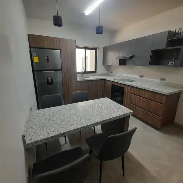 DEPARTAMENTO AMUEBLADO, COL. SAN ISIDRO