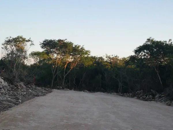Terreno en Venta  en Chicxulub Puerto con Proyecto