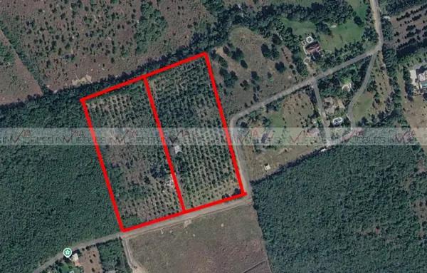 Terreno de Cultivo Secano, Cadereyta