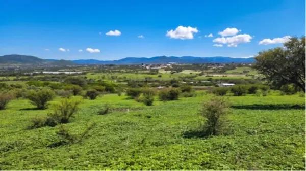 OPORTUNIDAD! Venta de macrolote con ubicación en zonificación de uso de suelo Habitacional Mixto Bj.