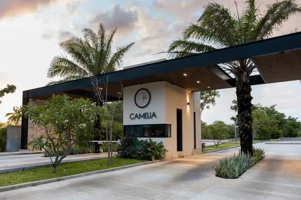Terrenos en venta Mérida norte, Sitpach aceptamos INFONAVIT