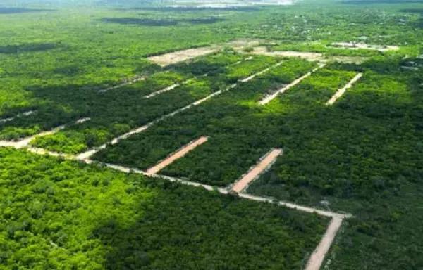 Terrenos en venta Yucatán Ucú 500 M2 cerca de cd.  Caucel