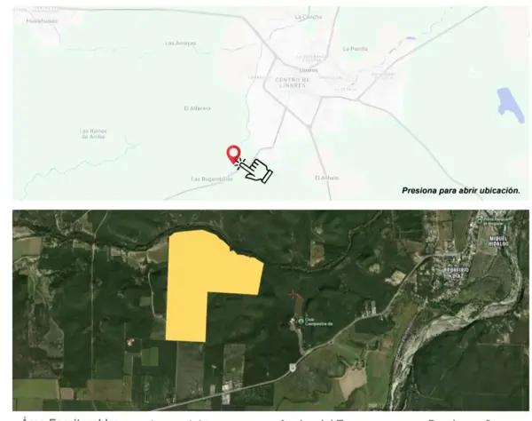 TERRENO EN VENTA EN LINARES, NUEVO LEÓN