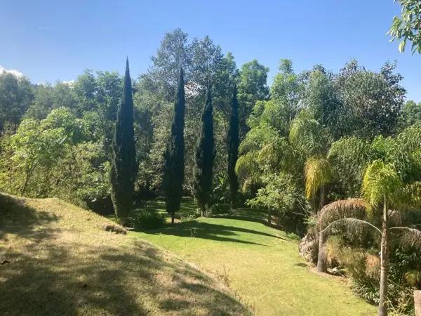 Terreno en Venta Pipioltepec Valle de Bravo | Naturaleza y Lago en Propiedad