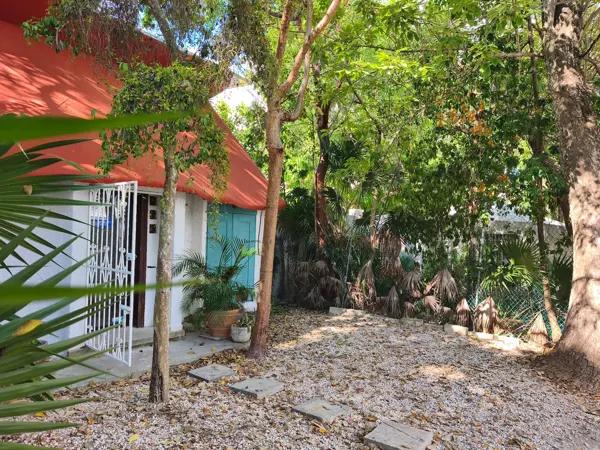 LOCAL COMERCIAL EN RENTA A UNOS PASOS DE LA AV. NADER CANCUN CENTRO