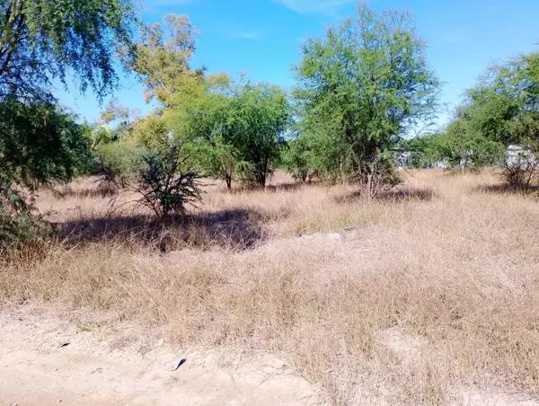 Terreno en venta en Trancas y Sabarado, Cadereyta Jiménez, Nuevo León