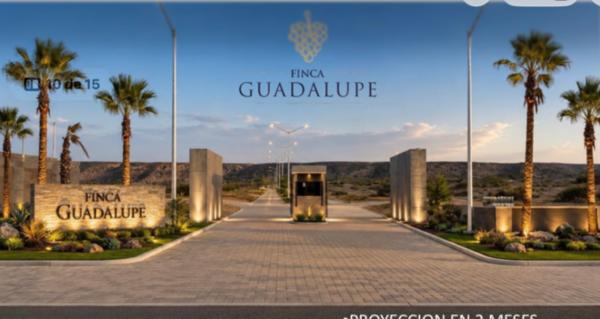 Lotes en venta en Finca Guadalupe, sobre la autopista a Ensenada