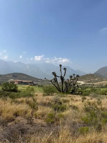 TERRENO EN VENTA EN TERRALTA RESIDENCIAL