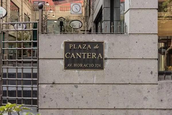 Local en renta en  Polanco Plaza Cantera