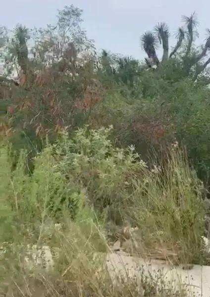 Terreno en Venta Cumbres Elite Premier, Sector Everest, Zona Cumbres