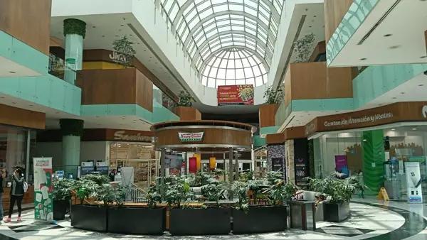VENTA DE LOCALES EN PABELLÓN ALTAVISTA, COLONIA SAN ÁNGEL, ÁLVARO OBREGÓN