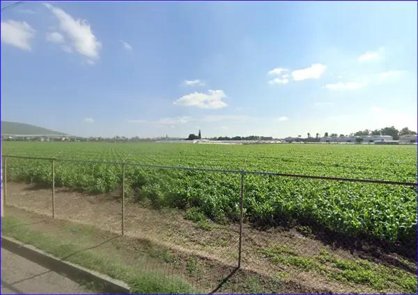 Terreno en Remate en Irapuato - Amplio Lote Residencial
