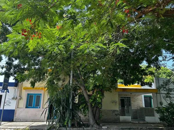 Casa ideal para consultorio o renta de plataforma