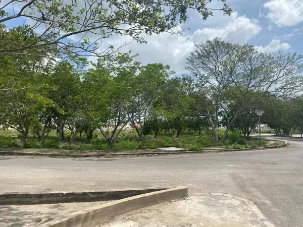 Terreno comercial en renta junto a glorieta