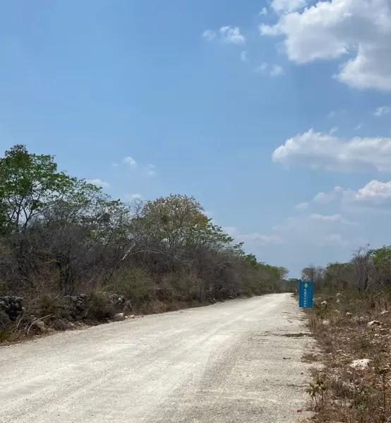 Terreno en venta para inversionista o desarrollador. Terreno en venta para inversionista o desarrollador.