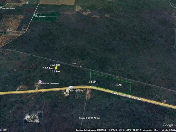 Terreno de 9 hectareas sobre carretera a Cancun