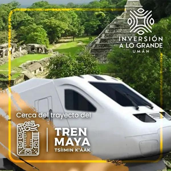 Oportunidad de inversión, terreno en Umán de 5 Hectáreas