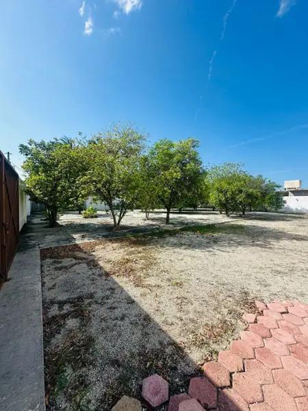 Terreno en esquina en Avenida, San Antonio Cinta Terreno en esquina en Avenida, San Antonio Cinta
