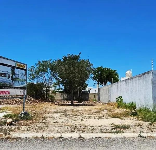 TERRENO DE 602 M2 EN DZITYA TERRENO DE 602 M2 EN DZITYA