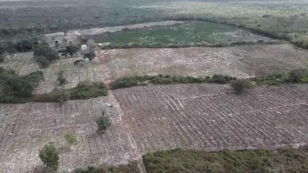 Rancho en Venta con 39 hectáreas, carretera a Teya, Yucatán