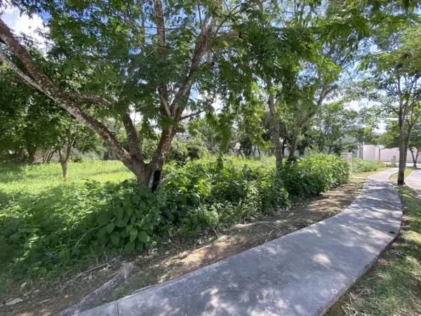 Terreno en venta en Parque Central