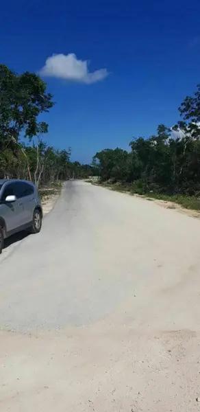 Terreno en venta de 1 ha en Tulum.