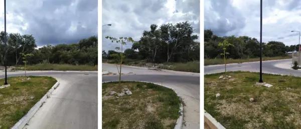 Terreno en venta en Itzincab  96.