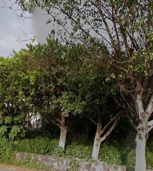 D* Terreno en Venta o Renta Sobre Av Principal en Cuernavaca Morelos
