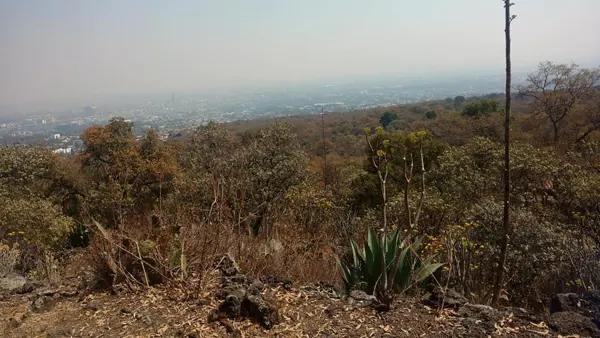 Terreno Temixco 12,309 m²