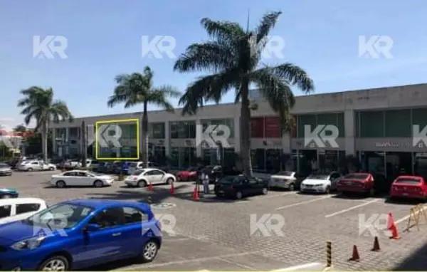 Locales y Oficinas en Renta en Cuernavaca Morelos Locales y Oficinas en Renta en Cuernavaca Morelos