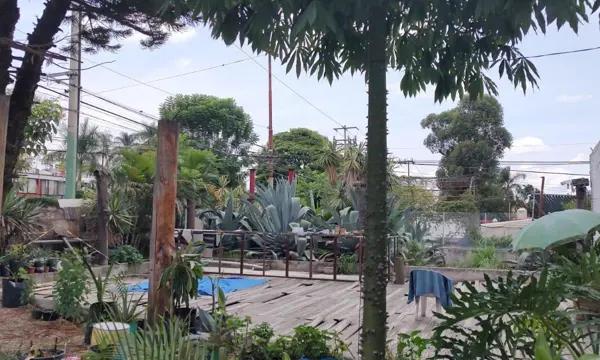 Local Comercial en Renta en Vista Hermosa Cuernavaca