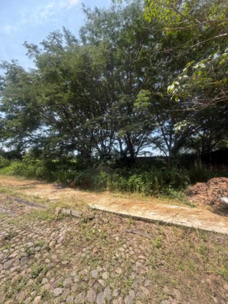 Terreno en venta en Comala, Comala, Colima
