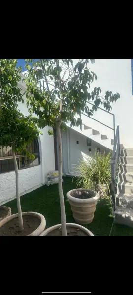 Departamento en renta en Torreón Jardín, Coahuila - Ubicación privilegiada y completamente equipado