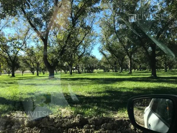 Terreno en Venta en Parras