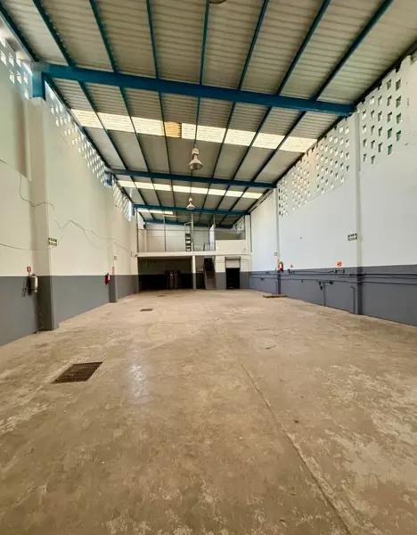 BODEGA ZONA MADERO Y COLON MONTERREY RENTA