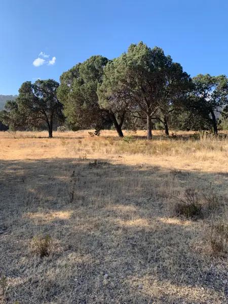 TERRENO EN VENTA EN ARTEAGA, COAHUILA (LOS LLANOS)