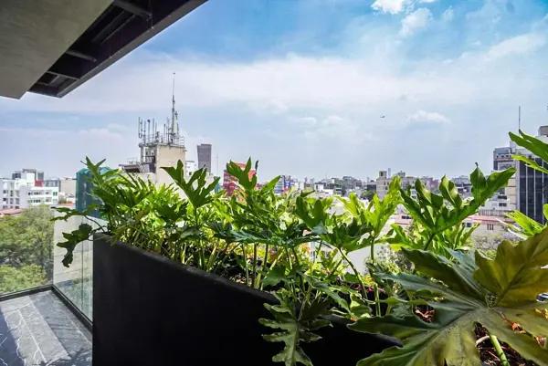 Departamentos en venta en Insurgentes Sur, Roma Sur - 1 Recámara