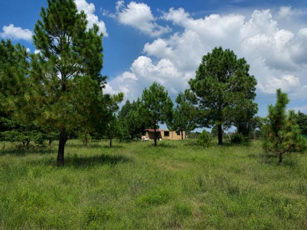 Cabaña en Venta en Amealco de Bonfil en Bosque de Pinos - Ideal Retiro, Airbnb o Inversión