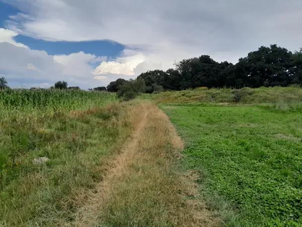 Terreno en San Francisco Acazuchitlaltongo, Polotitlán - 8000 m²en $395,000 Terreno en San Francisco Acazuchitlaltongo, Polotitlán - 8000 m²en $395,000