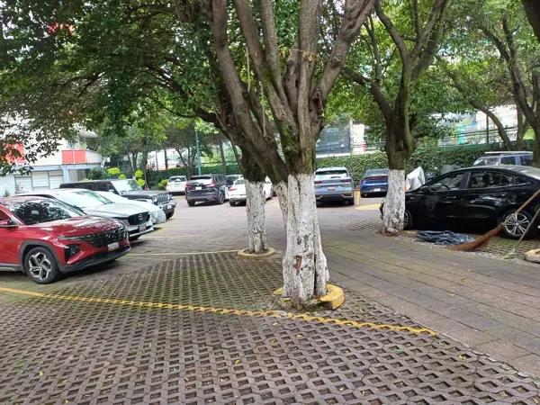 Bonito departamento bien ubicado cerca de CU