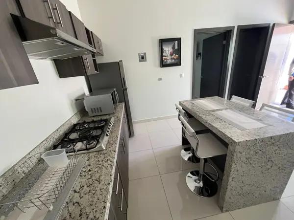 departamento en renta en Colonia Alpes Norte