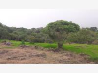 Terreno en venta en Comala, Comala, Colima Terreno en venta en Comala, Comala, Colima