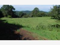 Terreno en venta en Suchitlan, Comala, Colima Terreno en venta en Suchitlan, Comala, Colima