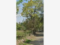 Terreno en venta en Cofradia de Suchitlan, Comala, Colima Terreno en venta en Cofradia de Suchitlan, Comala, Colima