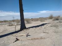Terreno en venta en Agrícola la Popular, Gómez Palacio, Durango Terreno en venta en Agrícola la Popular, Gómez Palacio, Durango